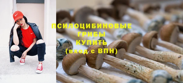 дурь Липки