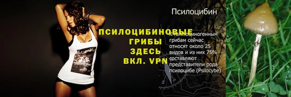 дурь Липки